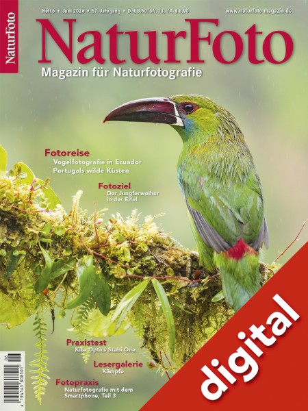 NaturFoto 6/2026 digital
