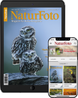 NaturFoto Abo Digital