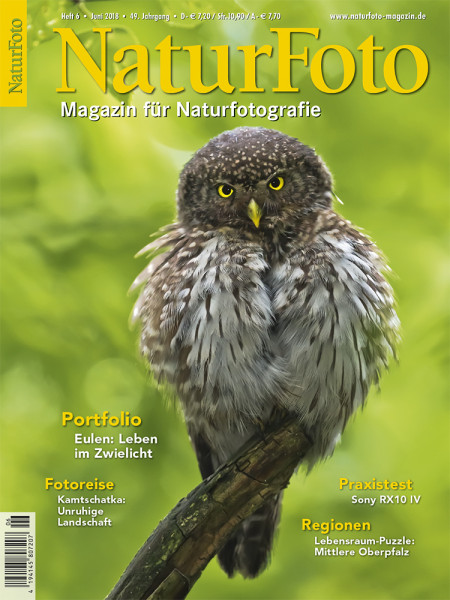 NaturFoto 6/2018