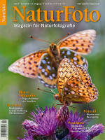 NaturFoto 4/2020 NaturFoto 4/2020