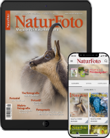 NaturFoto Abo digital