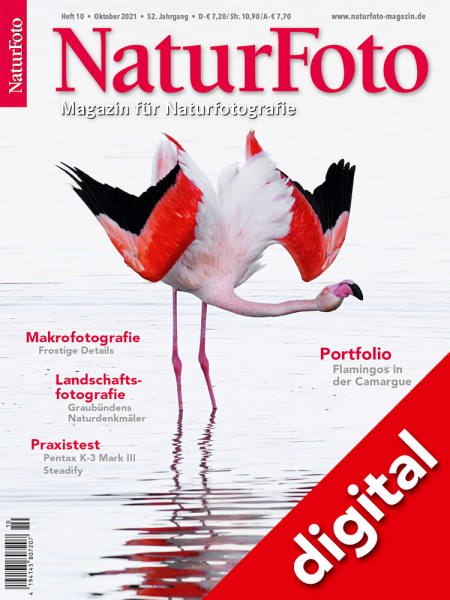 NaturFoto 10/2021 Digital