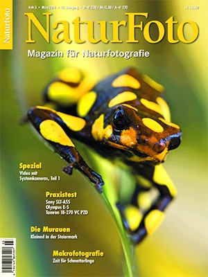 NaturFoto 3/2011