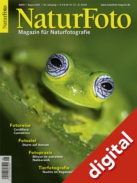 NaturFoto 8/2025 digital