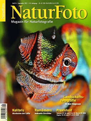 NaturFoto 9/2013