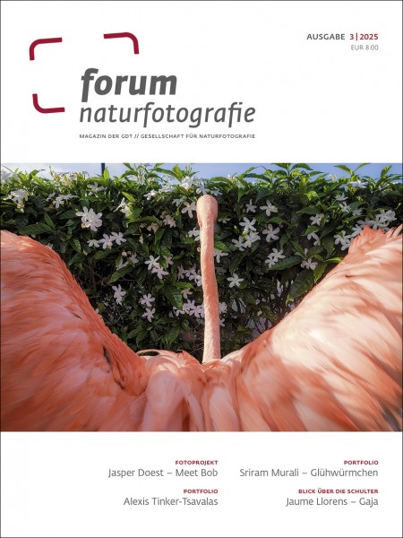 forum naturfotografie 3/2025