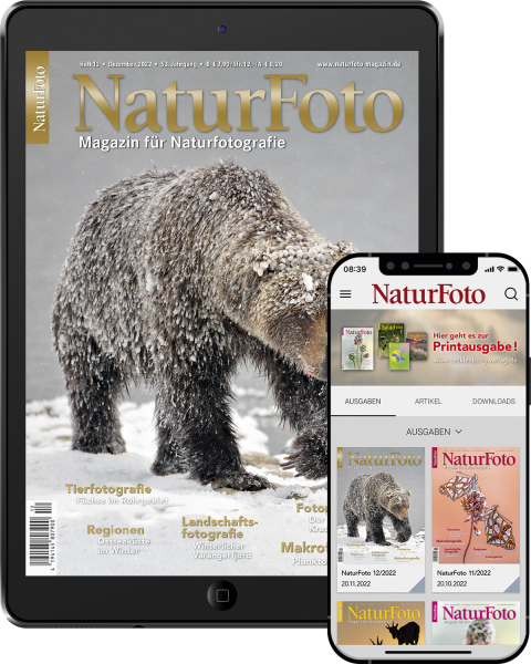 NaturFoto Abo Digital