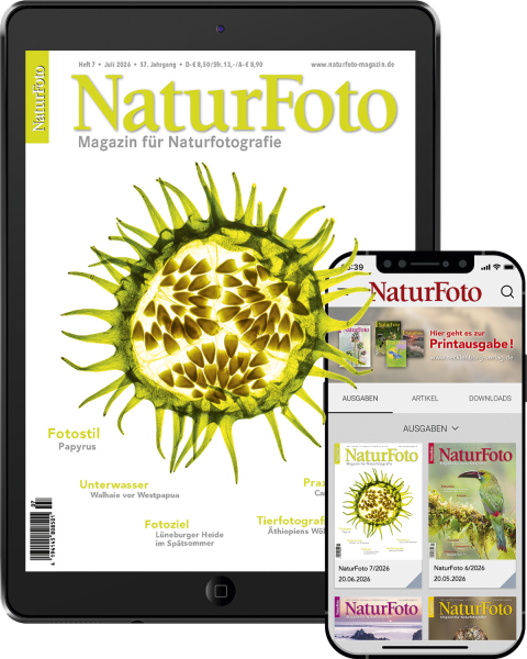 NaturFoto Abo digital