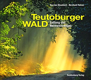 Teutoburger Wald