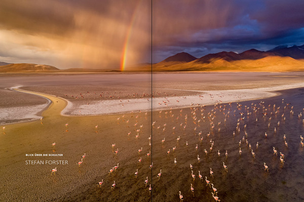 forum naturfotografie 3/2020