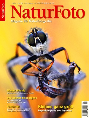 NaturFoto 6/2014