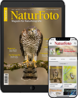 NaturFoto Abo digital