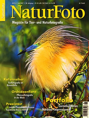 NaturFoto 6/2007