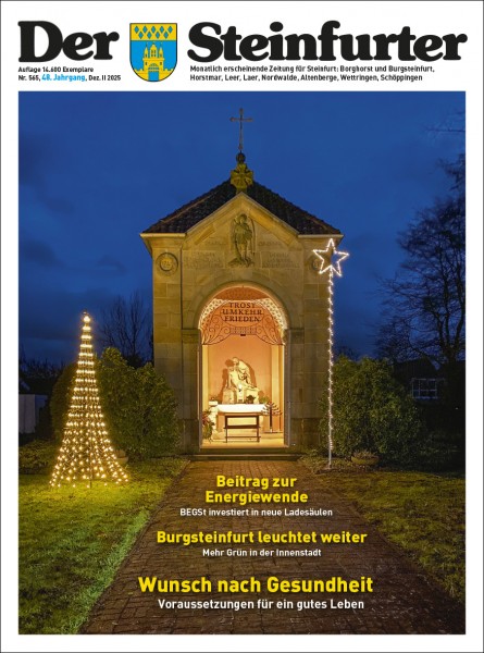 Der Steinfurter (Abonnement)