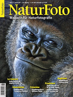 NaturFoto 1/2017