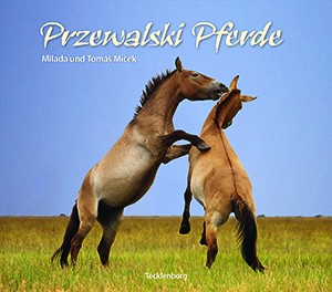 Przewalski Pferde