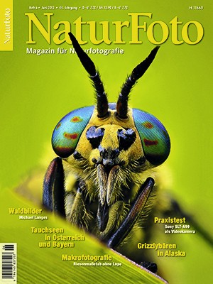 NaturFoto 6/2013