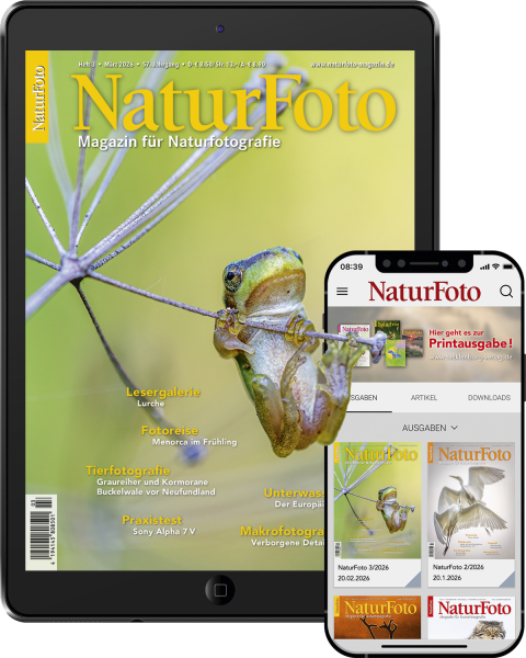 NaturFoto Abo digital