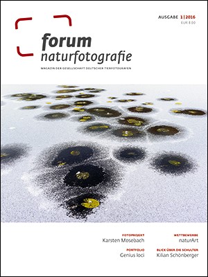 forum naturfotografie 1/2016