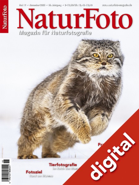 NaturFoto 11/2025 digital