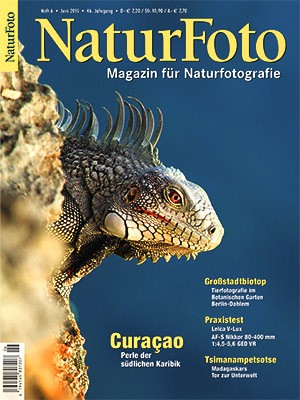 NaturFoto 6/2015