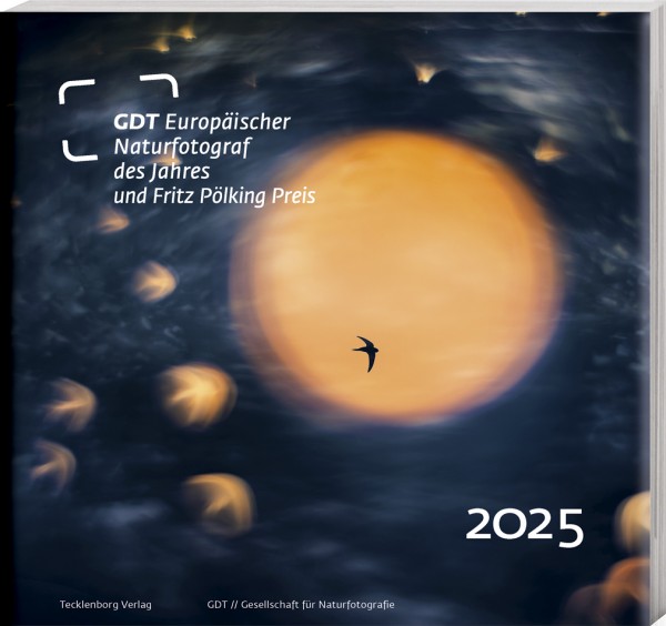 Europäischer Naturfotograf des Jahres 2025