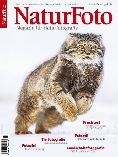 NaturFoto 11/2025
