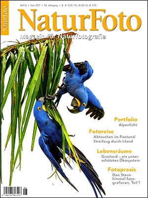 NaturFoto 6/2017