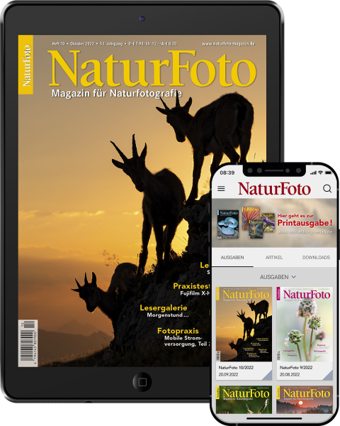 NaturFoto Abo Digital