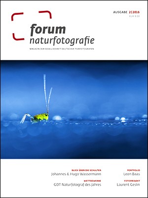 forum naturfotografie 2/2016