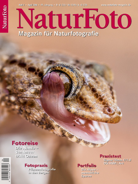 NaturFoto 4/2018