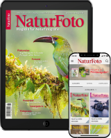 NaturFoto Abo digital