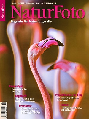 NaturFoto 4/2015