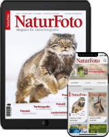 NaturFoto Abo digital