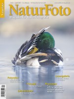 NaturFoto 4/2025 NaturFoto 4/2025
