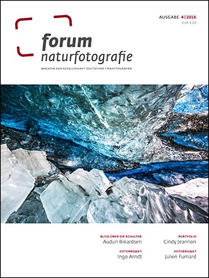 forum naturfotografie 4/2016