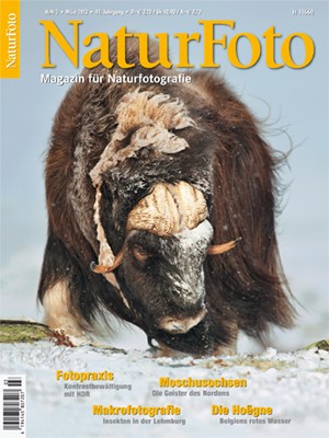 NaturFoto 3/2013