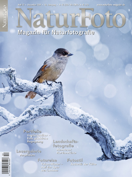 NaturFoto 12/2019