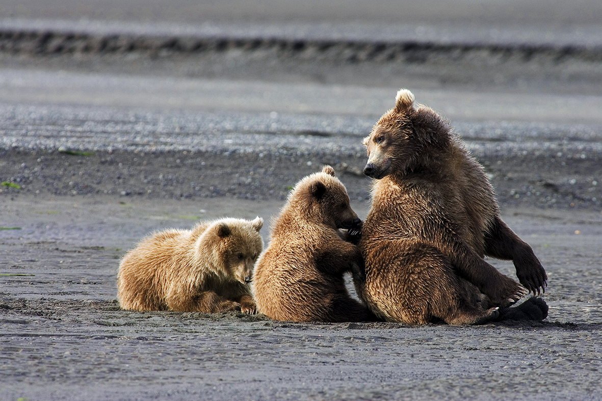 Alaska-2