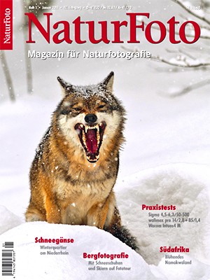 NaturFoto 1/2011