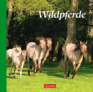 Wildpferde – Edition Quadra