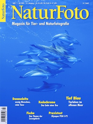 NaturFoto 7/2010