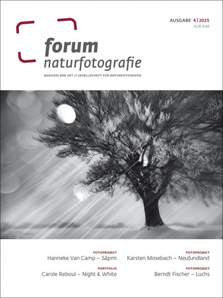 forum naturfotografie 4/2025