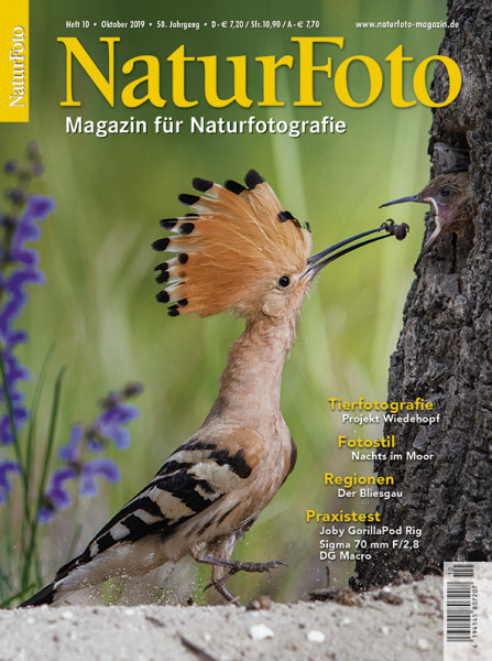 NaturFoto 10/2019