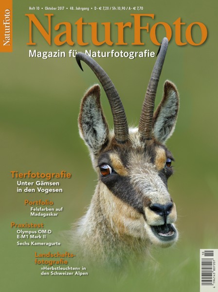 NaturFoto 10/2017