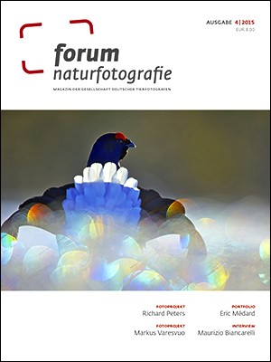 forum naturfotografie 4/2015