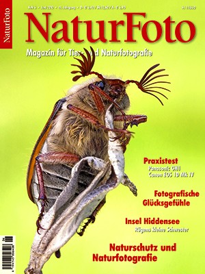 NaturFoto 6/2010