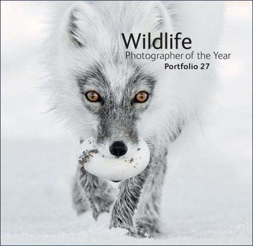 Portfolio 27 Wildlife Fotografien Des Jahres Bucher Tecklenborg Verlag