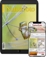 NaturFoto Abo digital