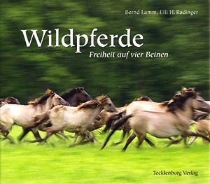 Wildpferde